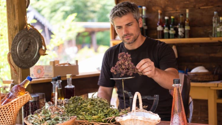 The Art of Herbalism: From Roots to Remedies